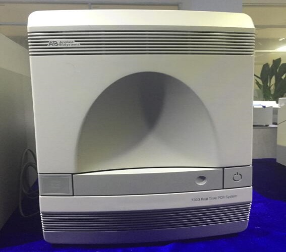 ABI7300 荧光定量PCR仪